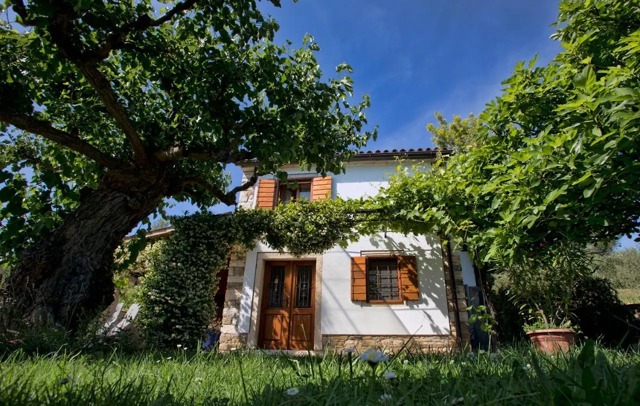 Lovely House With View Over Salt Pans Timor Sečovlje